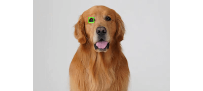Real time eye AF for Animals Real time eye AF for Animals